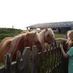 Cuylehoeve * Leffinge
