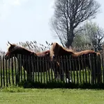 Holiday home Cuylehoeve