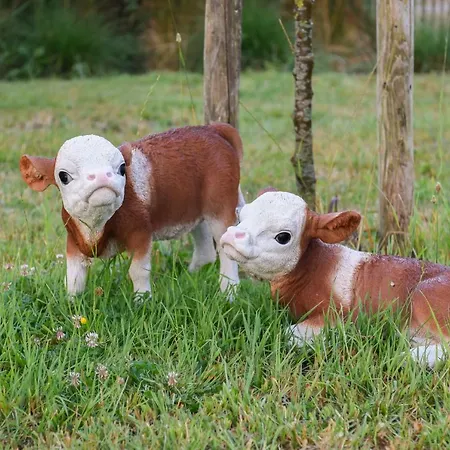 Ferienhaus Cuylehoeve *