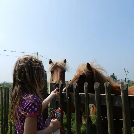 Cuylehoeve Ferienhaus *