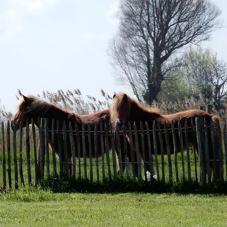Tatil Evi Cuylehoeve