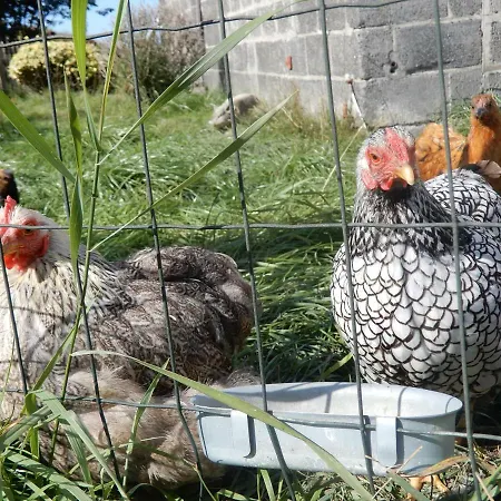 Ferienhaus Cuylehoeve Leffinge