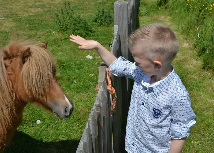 Cuylehoeve Holiday home