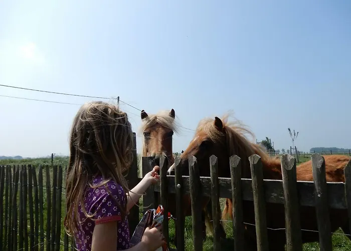 Cuylehoeve Ferienhaus *