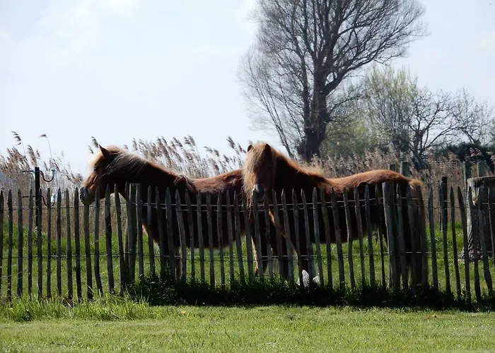 Holiday home Cuylehoeve