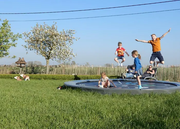 Cuylehoeve Holiday home *