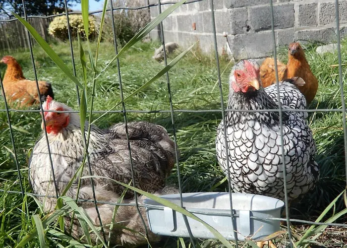Ferienhaus Cuylehoeve Leffinge